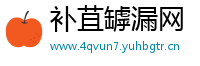 补苴罅漏网